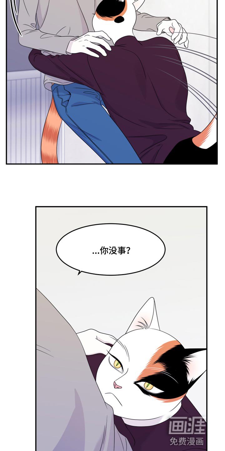 第53章：【第二季】你要丢下我?