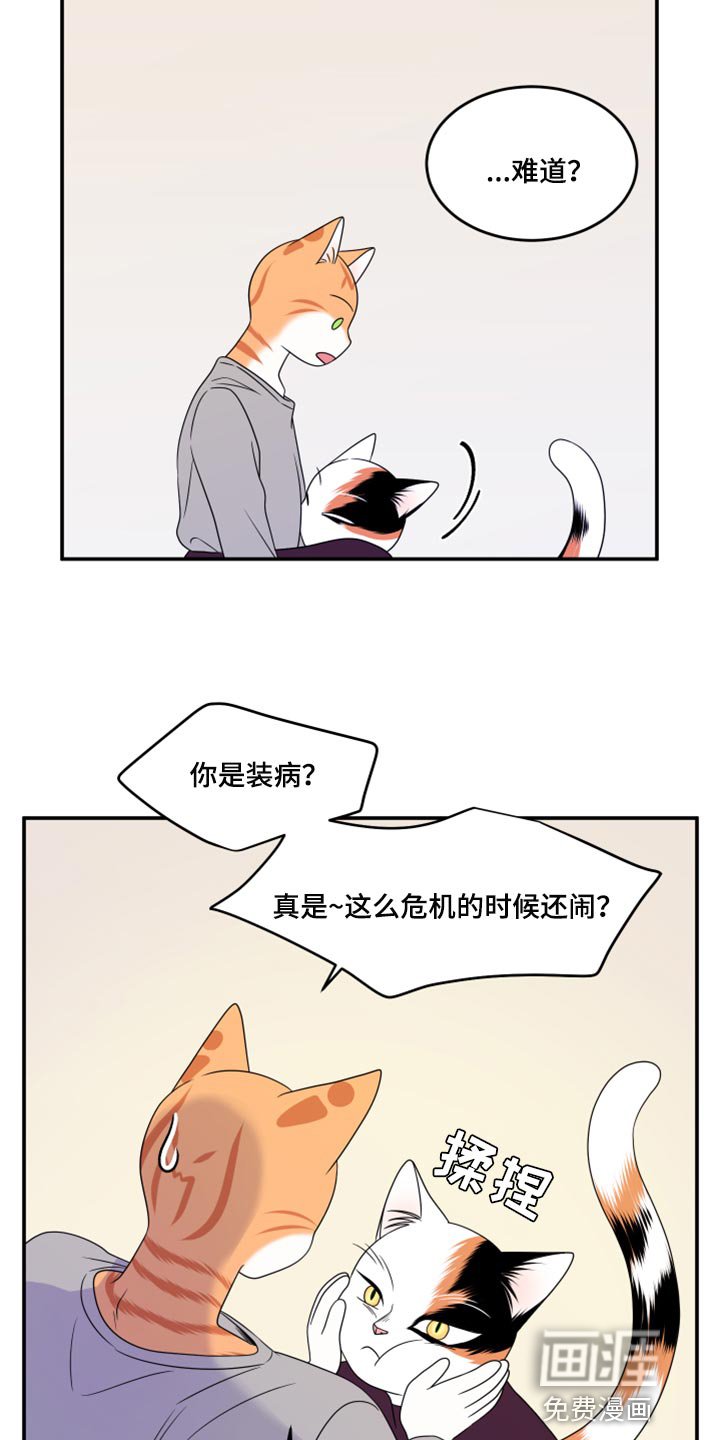 第53章：【第二季】你要丢下我?