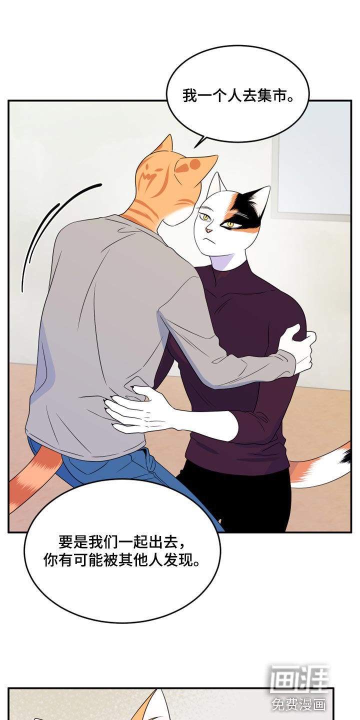 第54章：【第二季】你再坚持一下