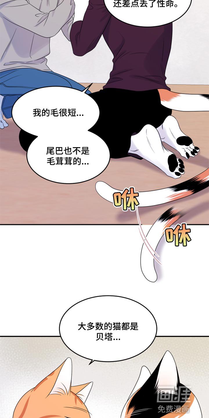 第54章：【第二季】你再坚持一下