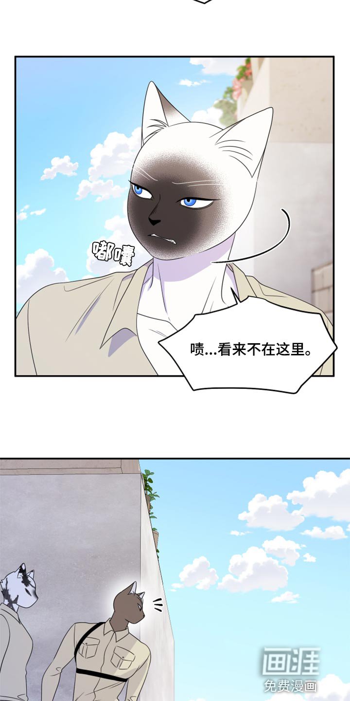 第54章：【第二季】你再坚持一下