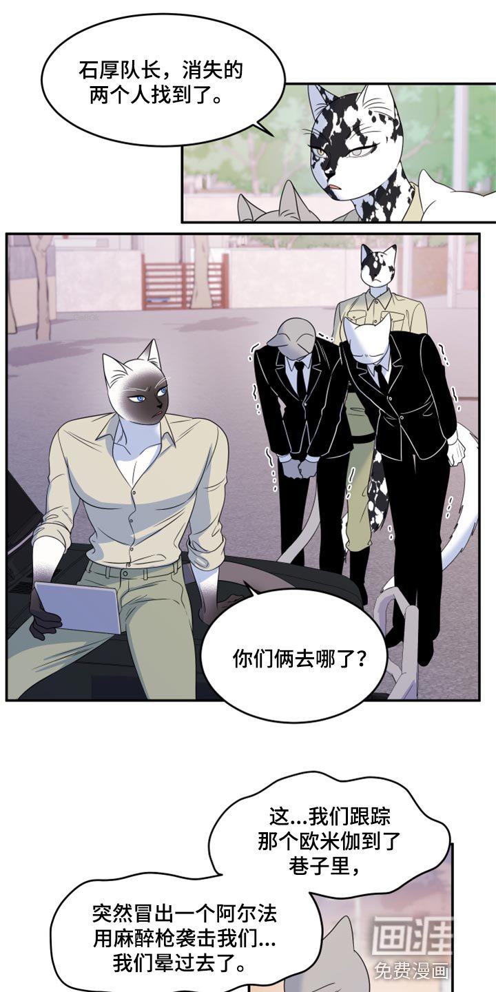 第55章：【第二季】人工阿尔法