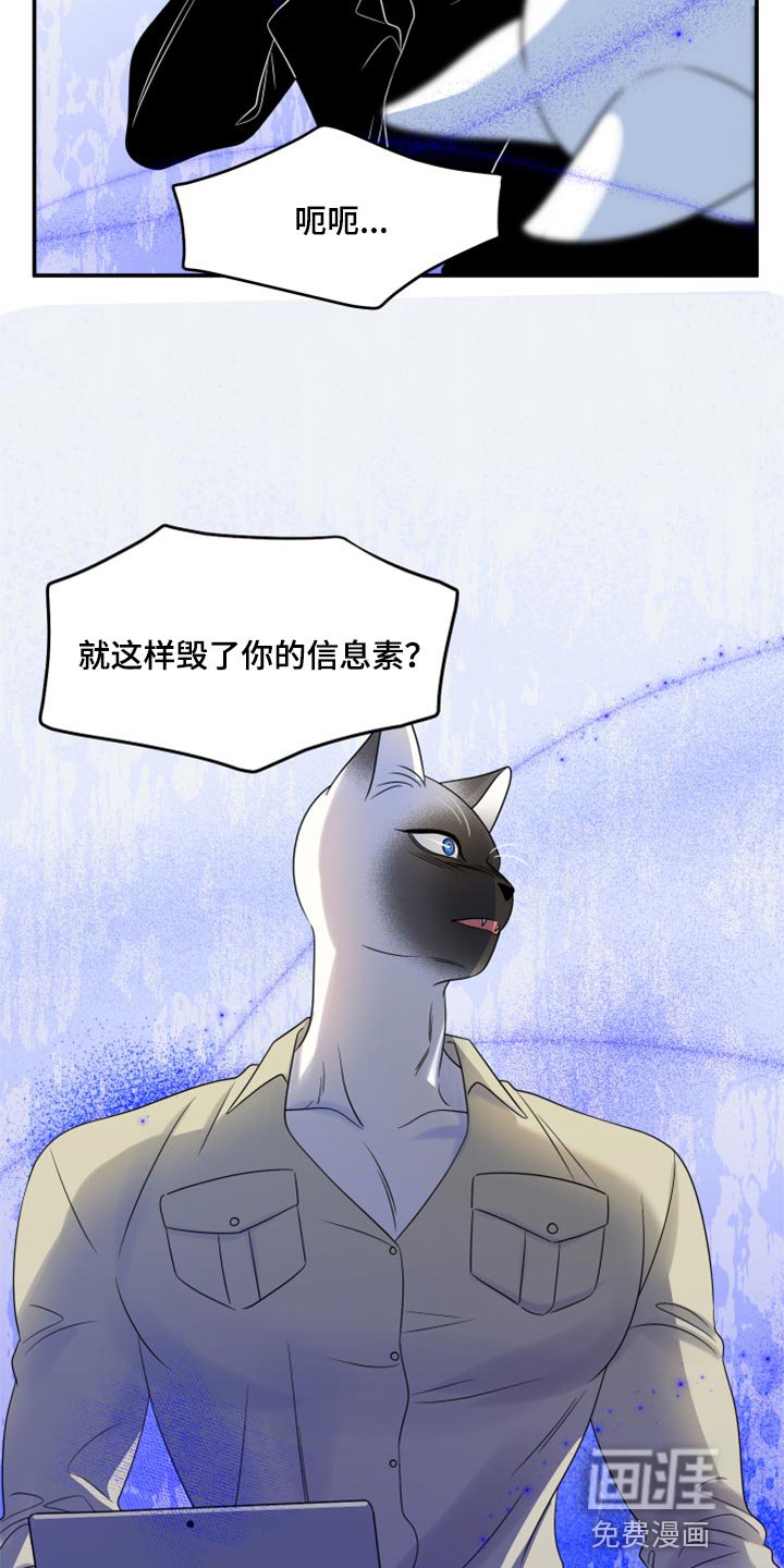 第55章：【第二季】人工阿尔法