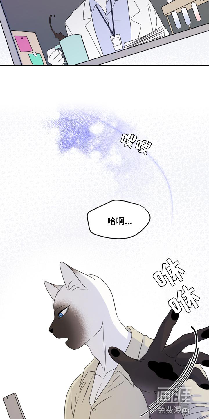 第55章：【第二季】人工阿尔法