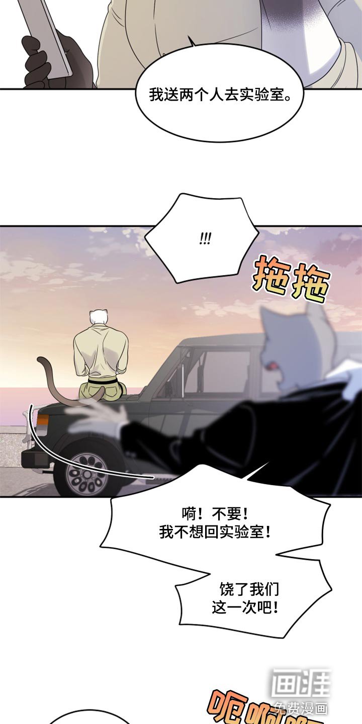 第55章：【第二季】人工阿尔法