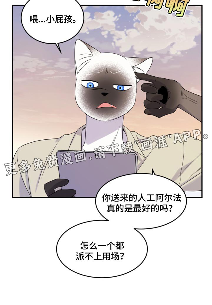 第55章：【第二季】人工阿尔法
