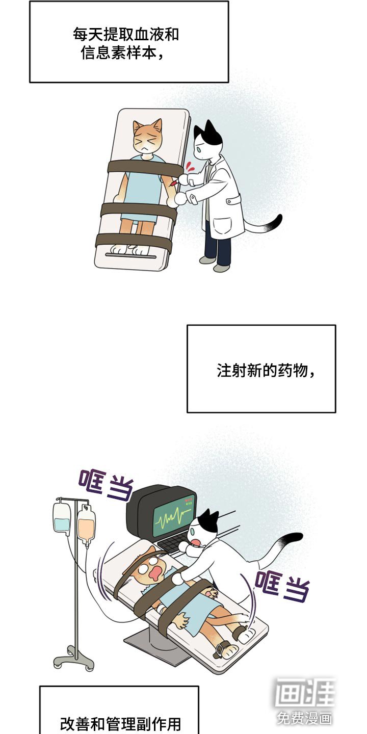 第56章：【第二季】新来的