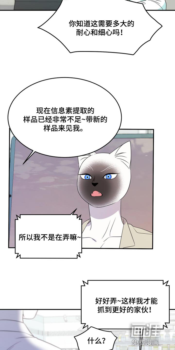 第56章：【第二季】新来的