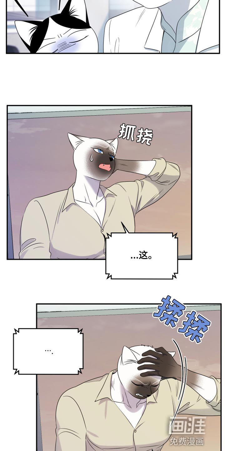第56章：【第二季】新来的