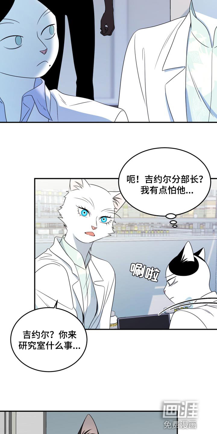 第56章：【第二季】新来的