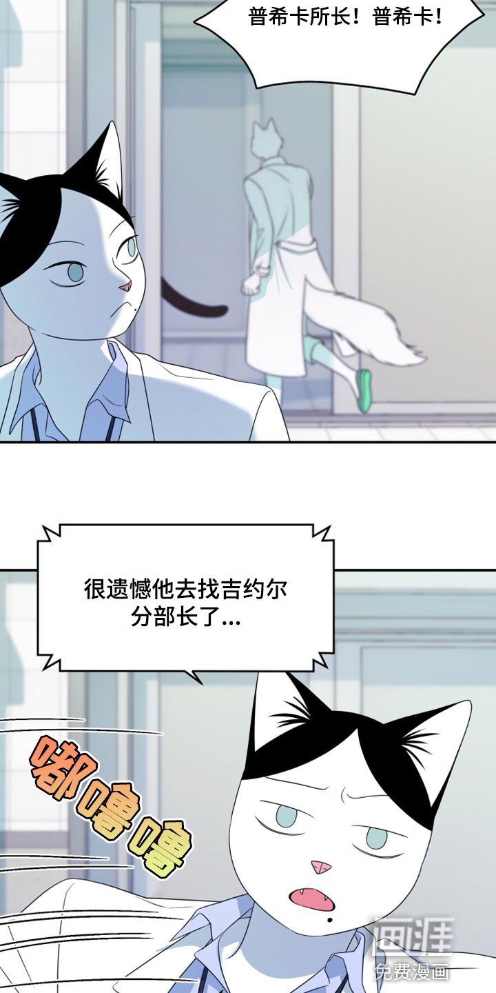 第56章：【第二季】新来的