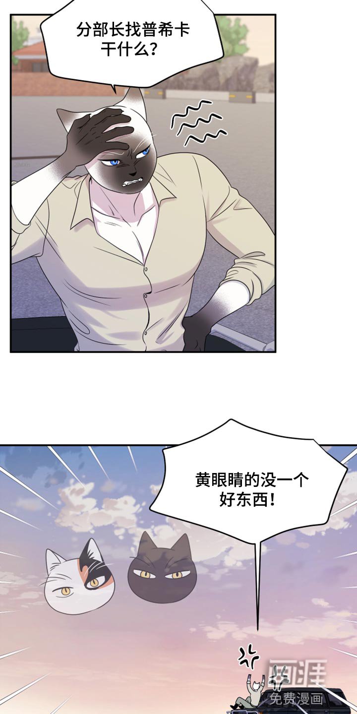 第57章：【第二季】总有一天会回来