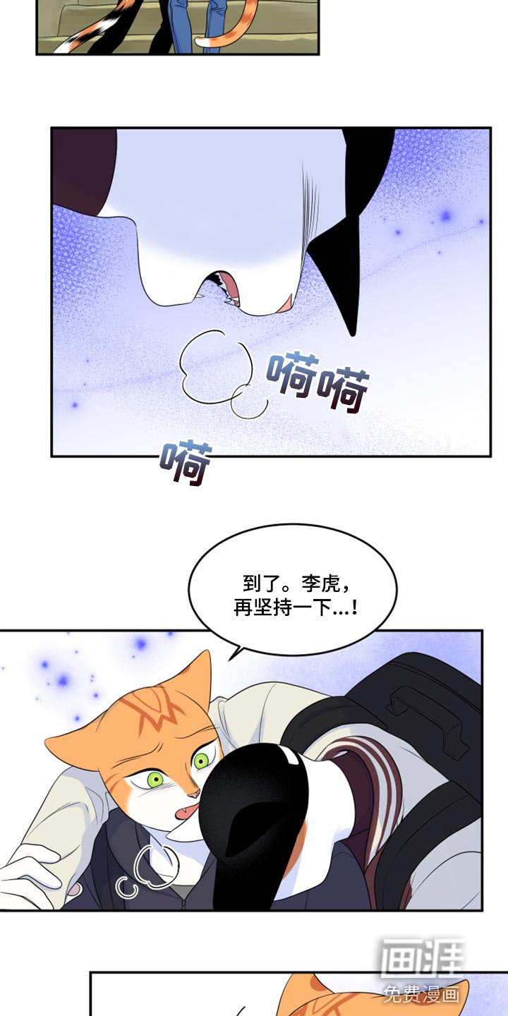 第59章：【第二季】失去理智
