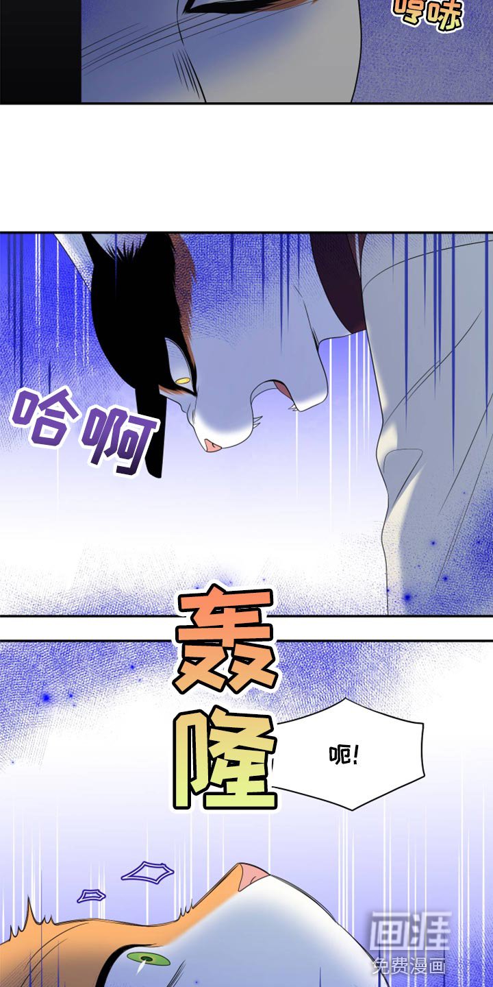 第60章：【第二季】不想伤害他