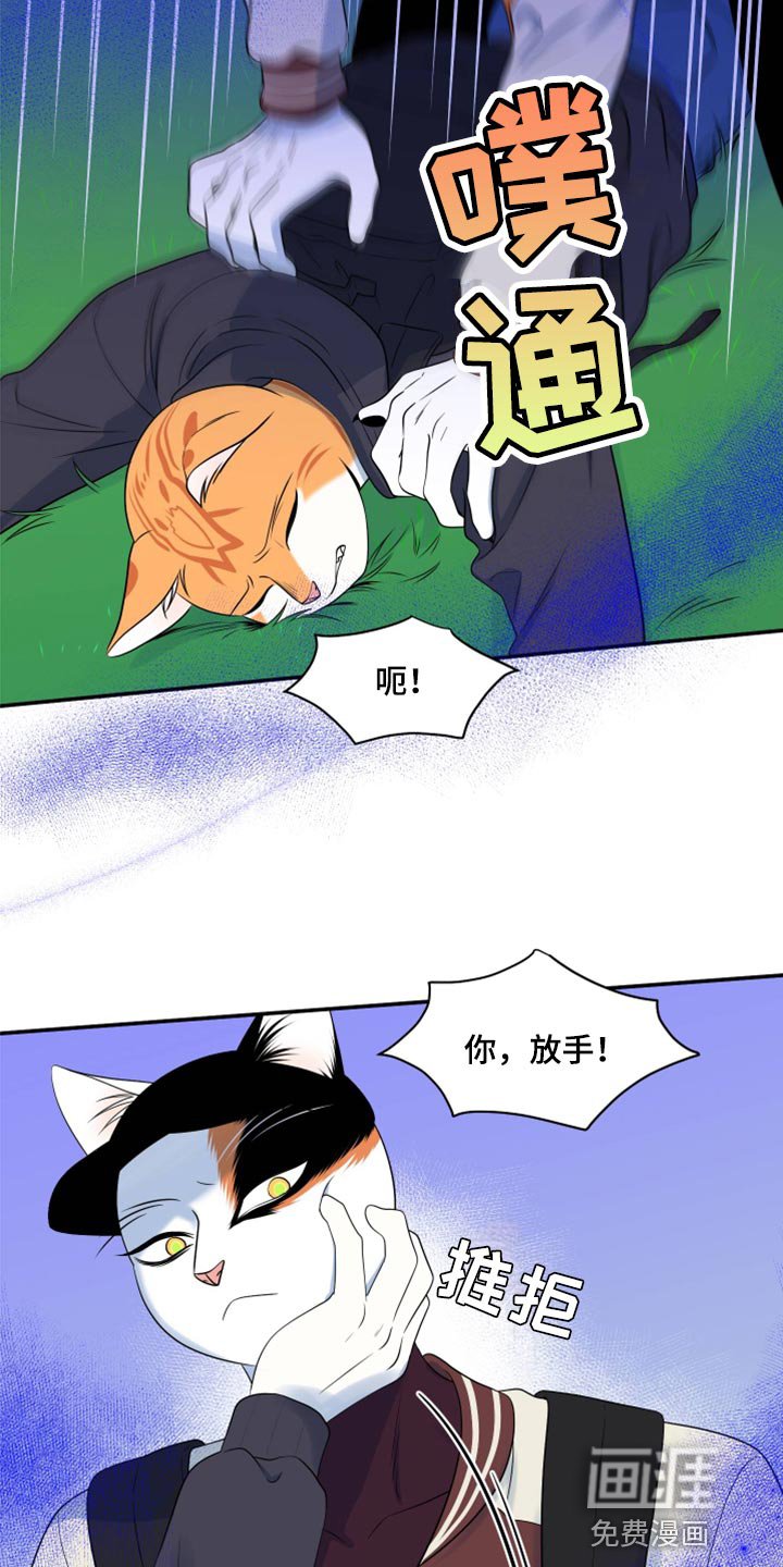第60章：【第二季】不想伤害他