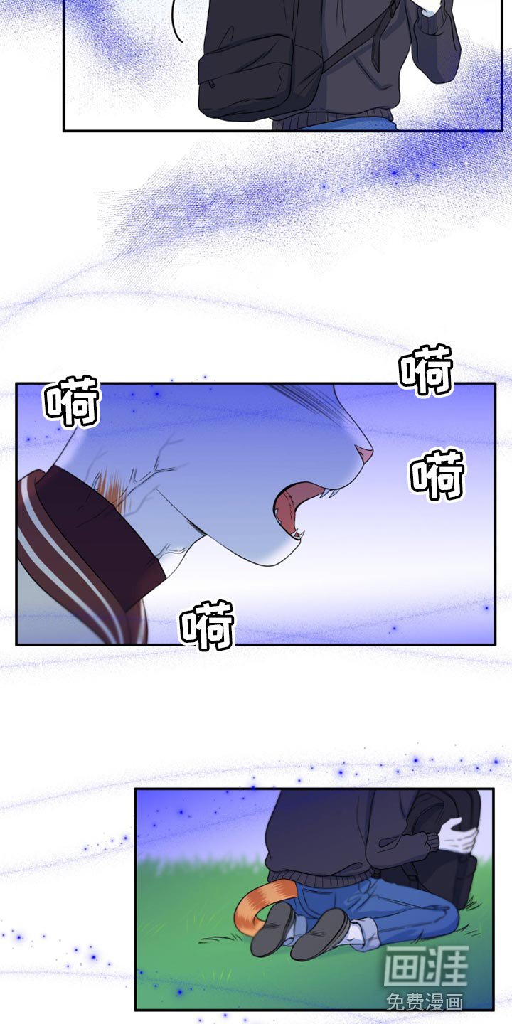 第60章：【第二季】不想伤害他
