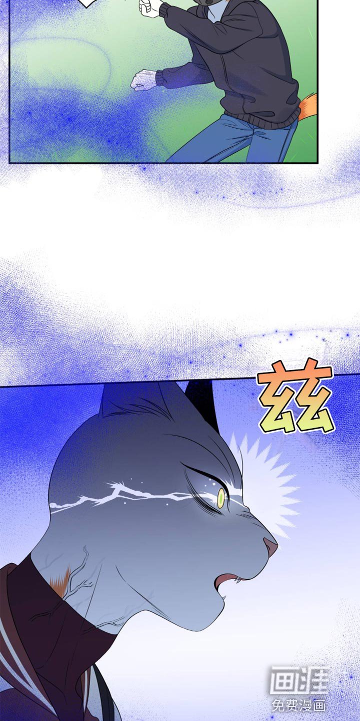 第61章：【第二季】撑过这一次就行