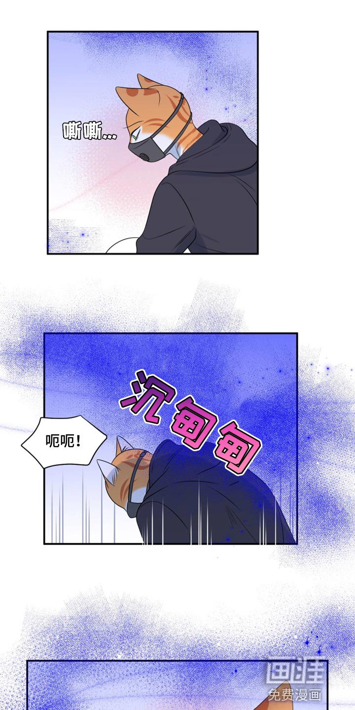 第61章：【第二季】撑过这一次就行