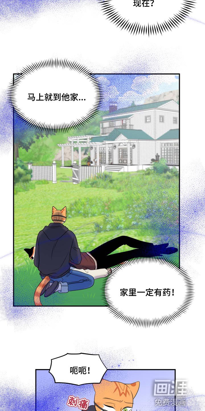 第61章：【第二季】撑过这一次就行