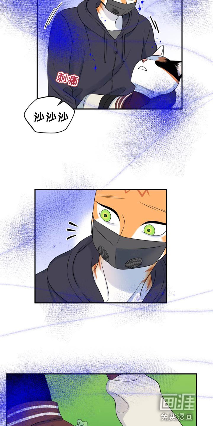 第61章：【第二季】撑过这一次就行