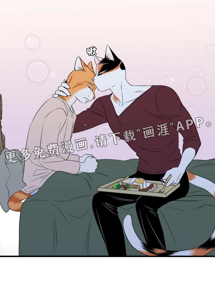 第64章：【第二季】你可以放心了