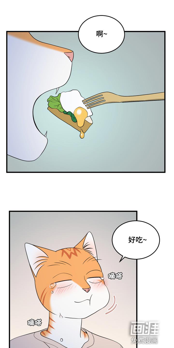 第65章：【第二季】钓鱼