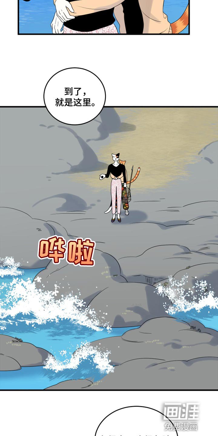 第65章：【第二季】钓鱼