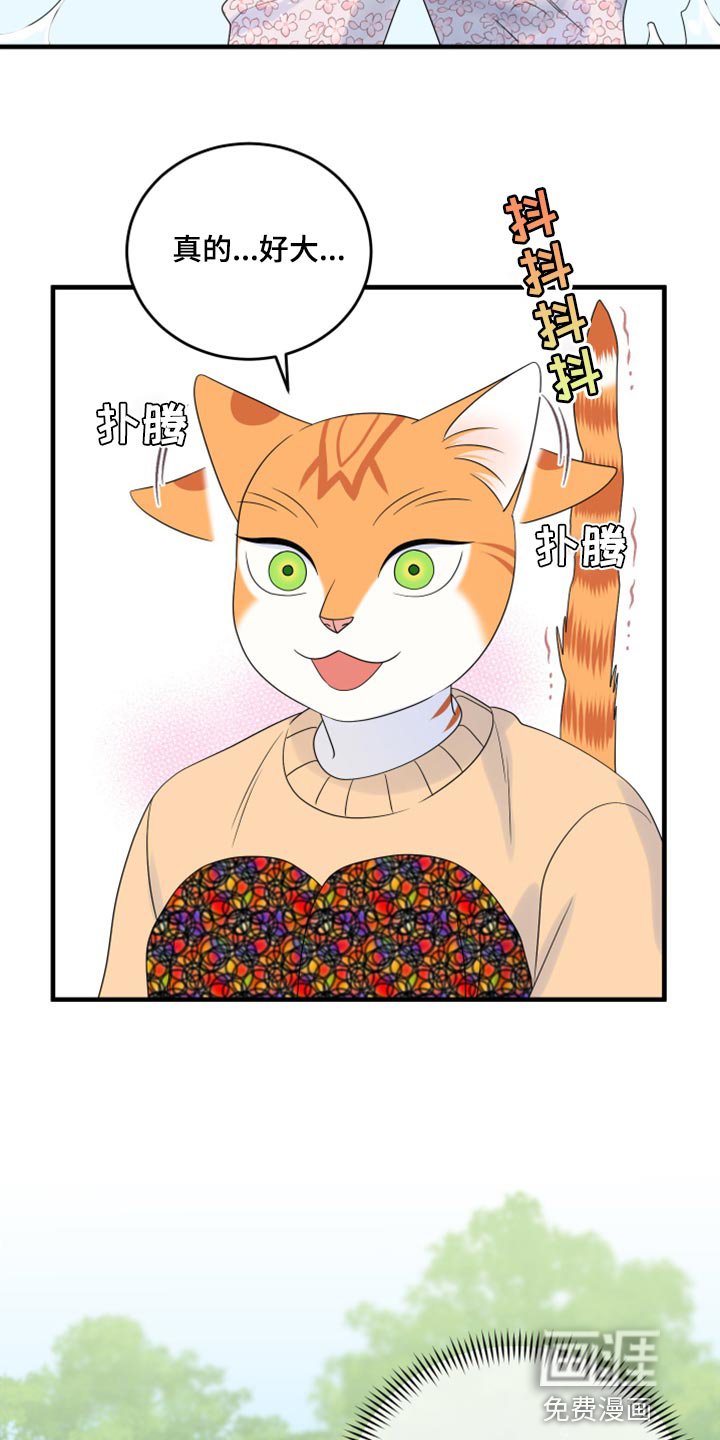 第66章：【第二季】狩猎本能