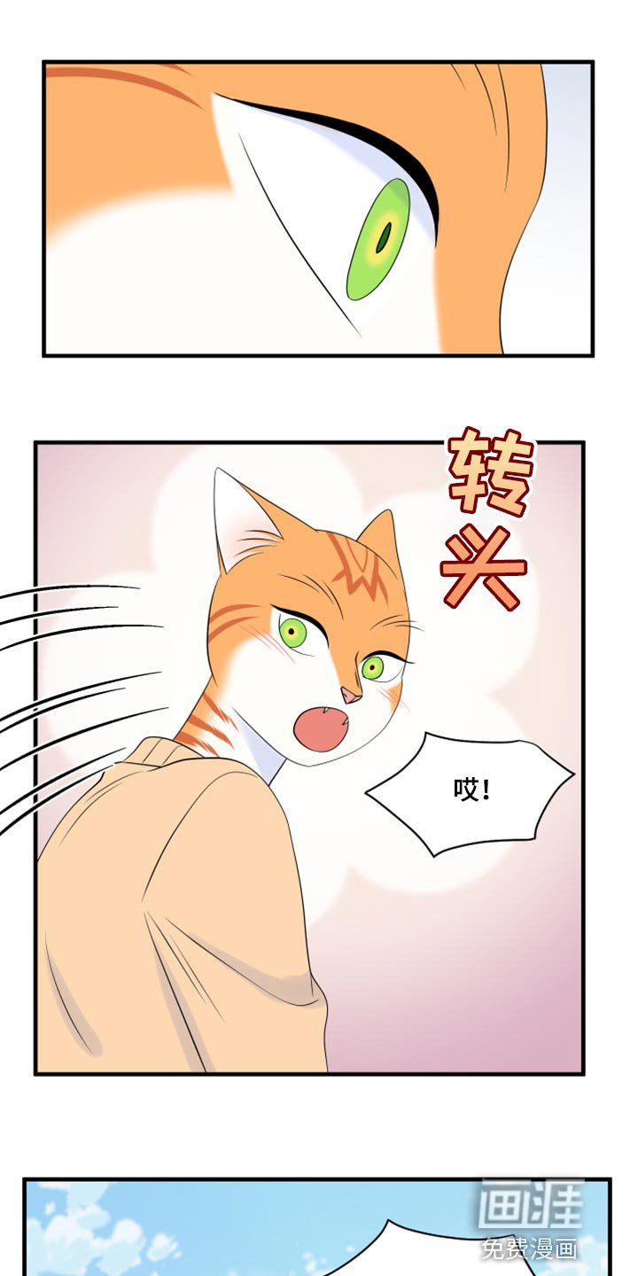 第66章：【第二季】狩猎本能