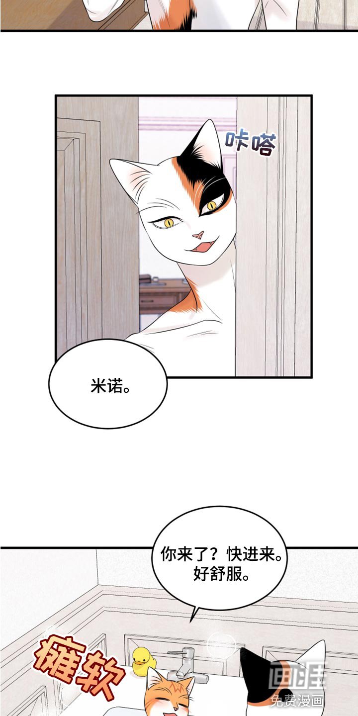 第67章：【第二季】责任与义务