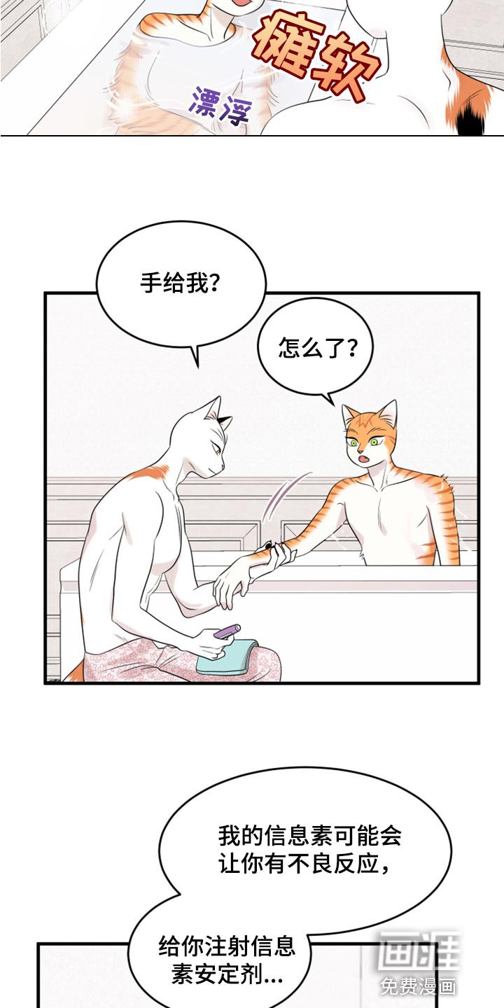第67章：【第二季】责任与义务