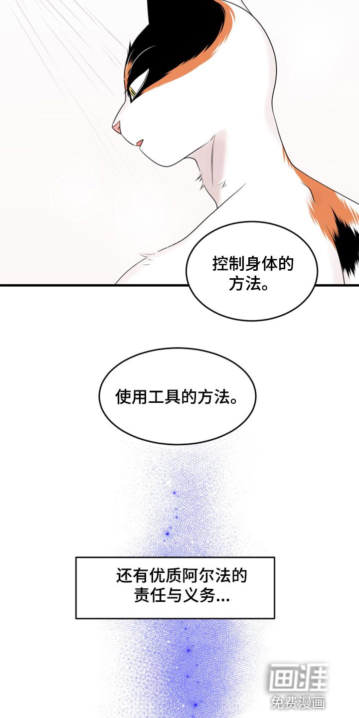 第67章：【第二季】责任与义务