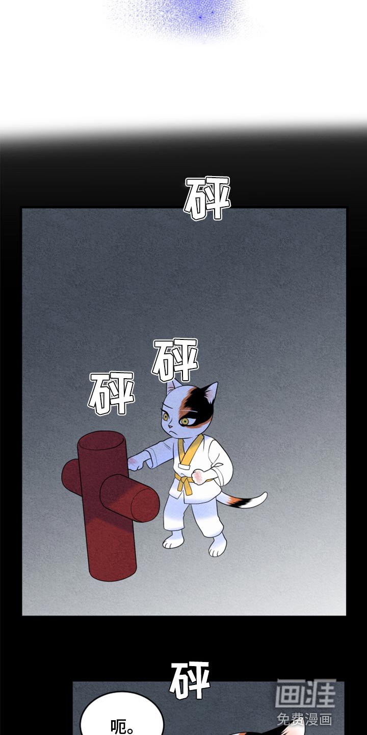 第67章：【第二季】责任与义务