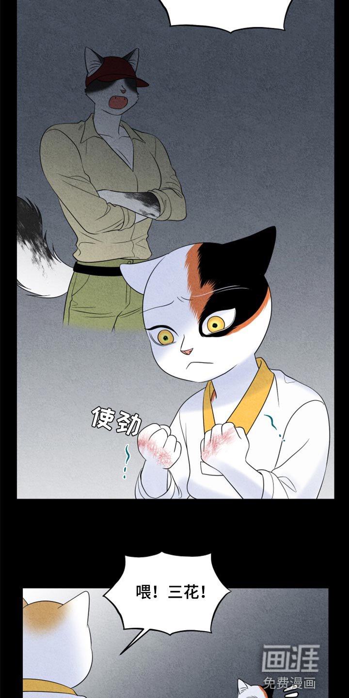 第67章：【第二季】责任与义务