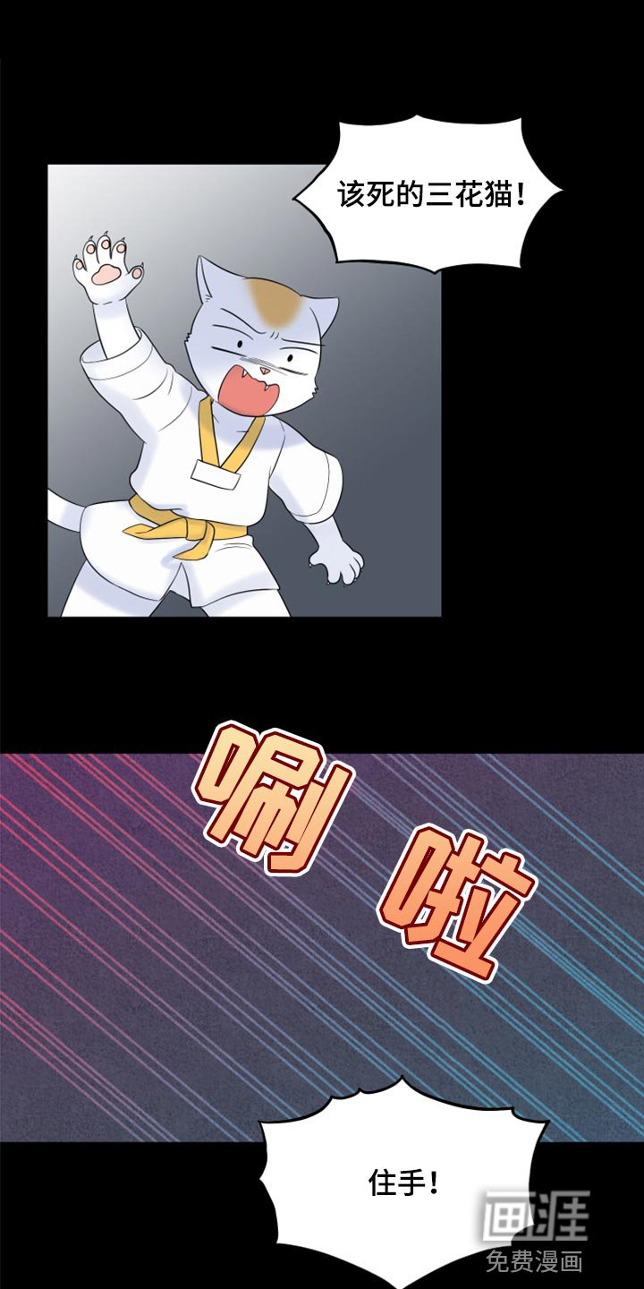 第68章：【第二季】我想放弃