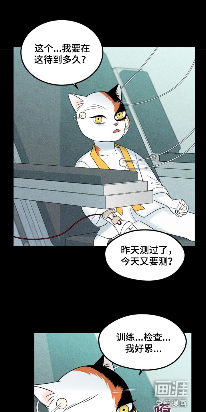 第68章：【第二季】我想放弃