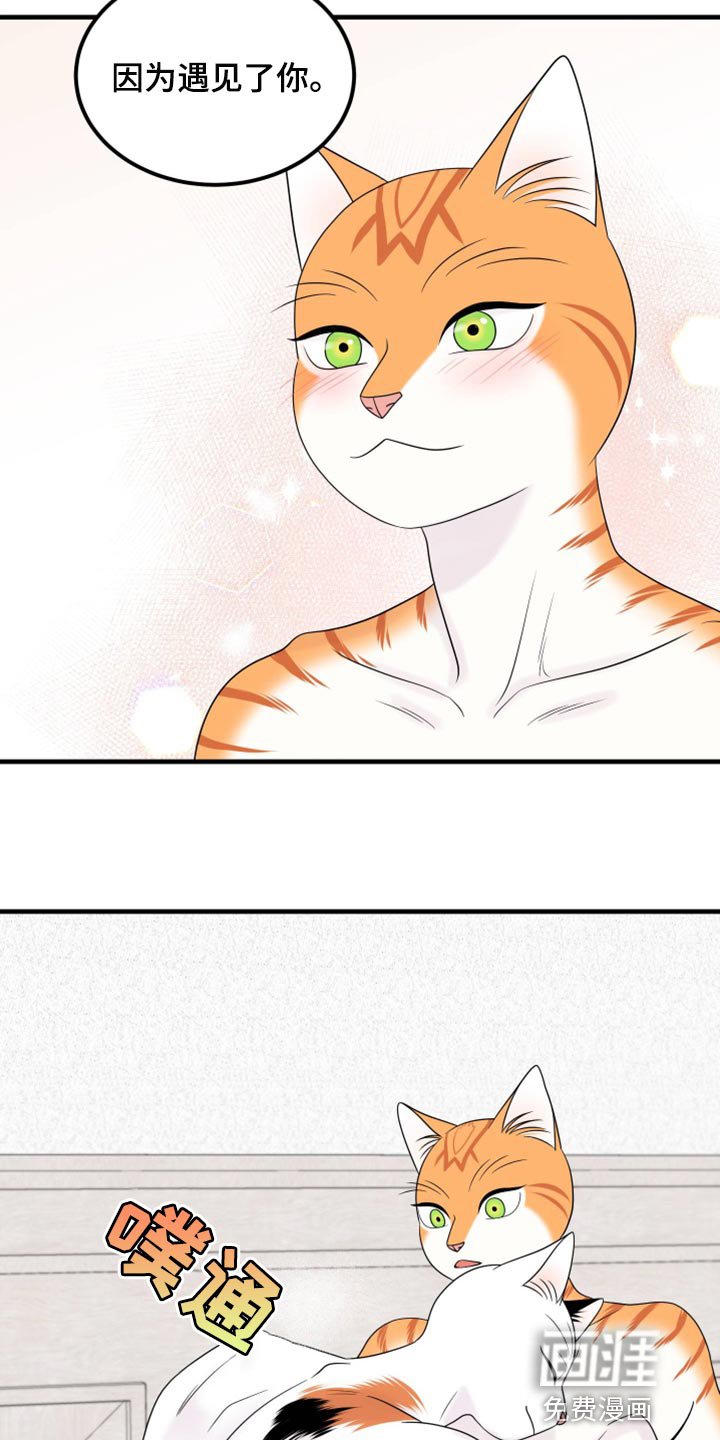 第69章：【第二季】撒娇