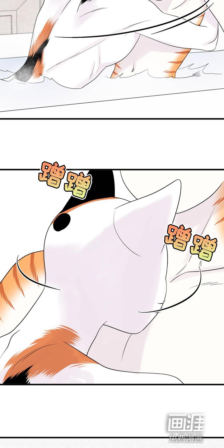 第69章：【第二季】撒娇