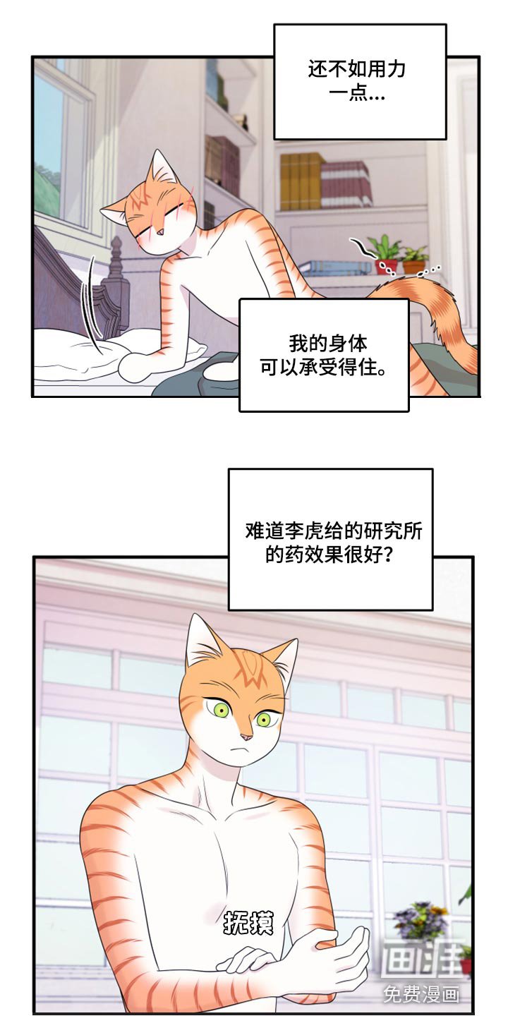 第70章：【第二季】绑架灵猫