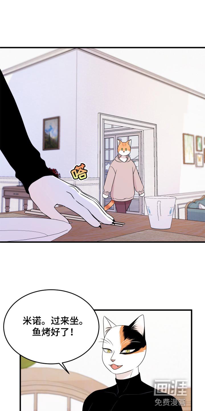 第70章：【第二季】绑架灵猫