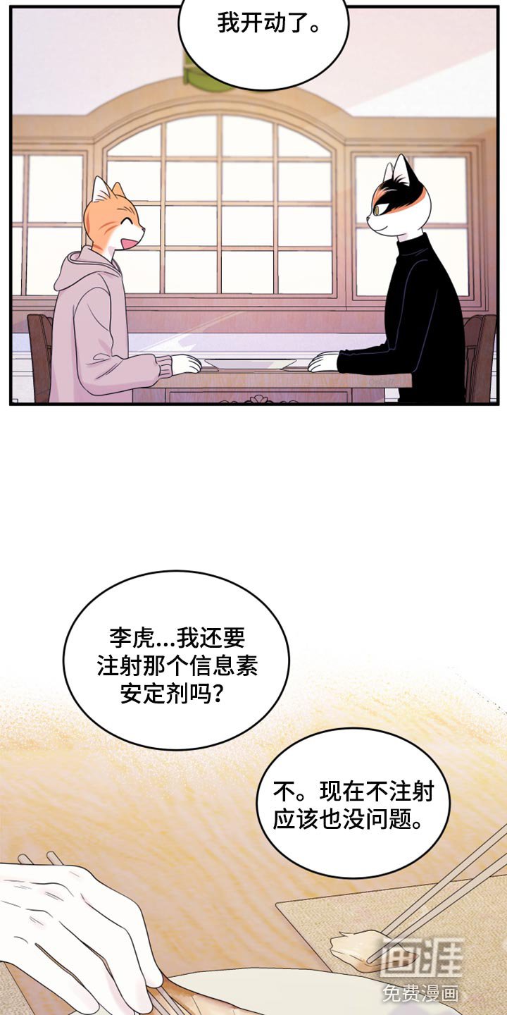 第70章：【第二季】绑架灵猫