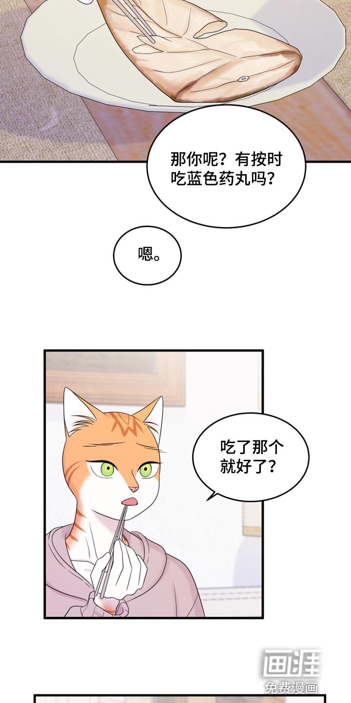 第70章：【第二季】绑架灵猫