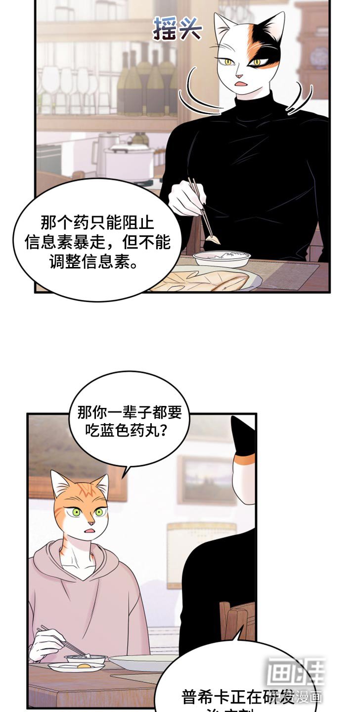 第70章：【第二季】绑架灵猫