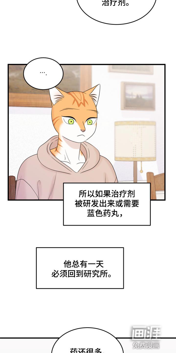 第70章：【第二季】绑架灵猫