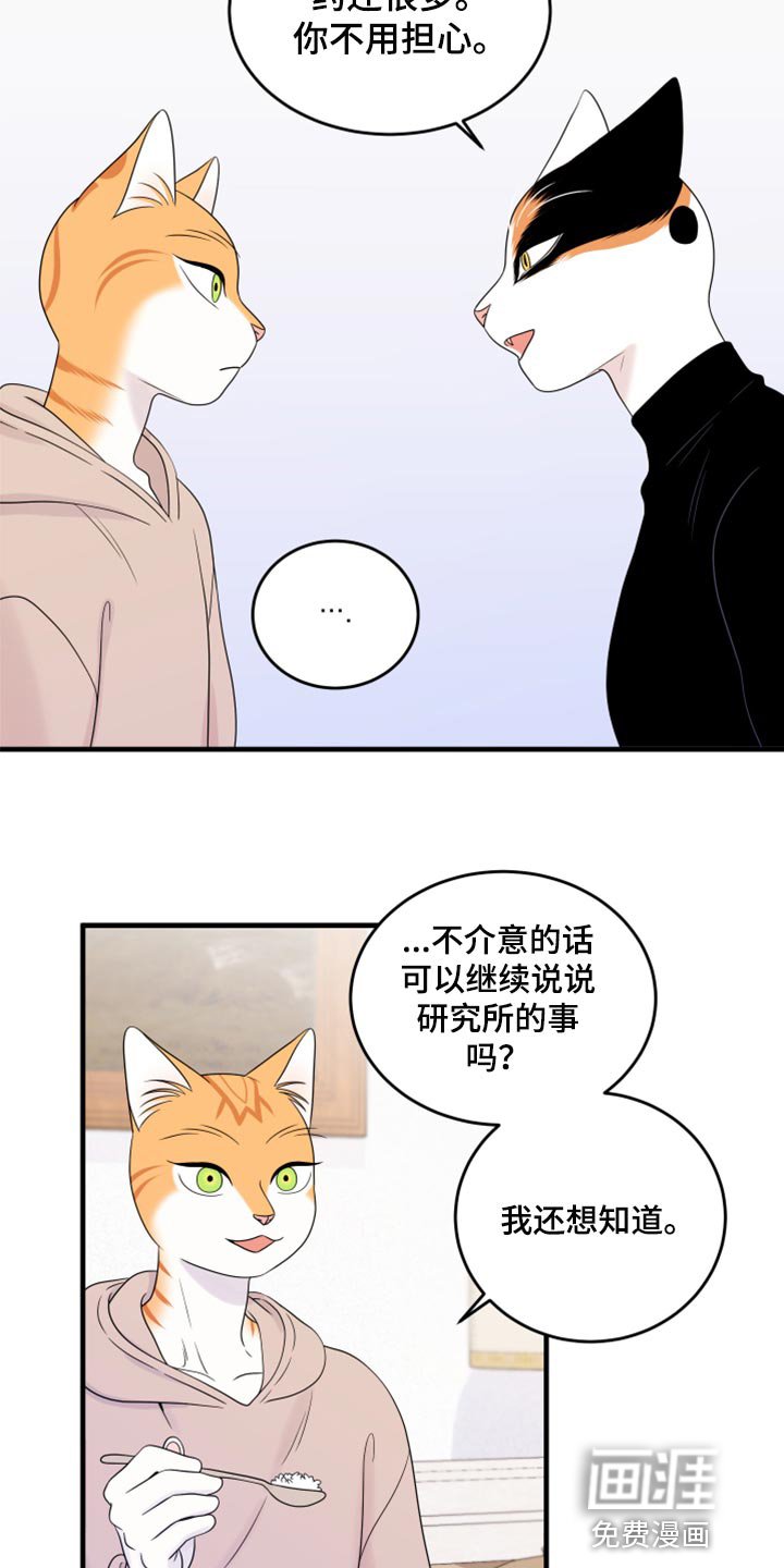 第70章：【第二季】绑架灵猫