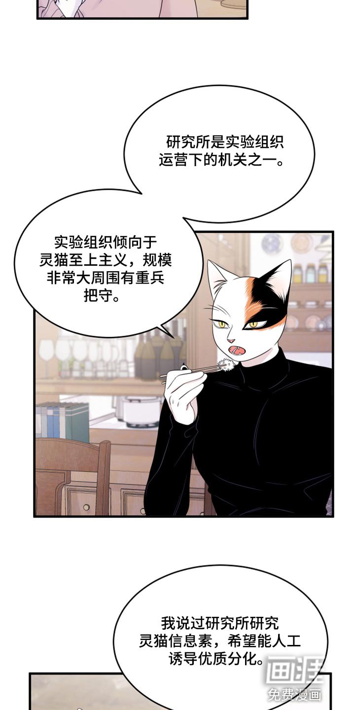 第70章：【第二季】绑架灵猫