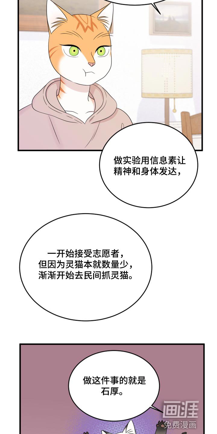 第70章：【第二季】绑架灵猫