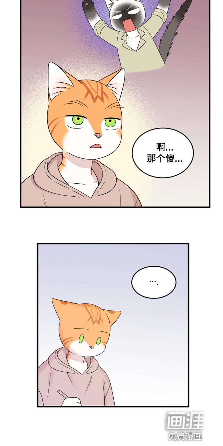 第70章：【第二季】绑架灵猫