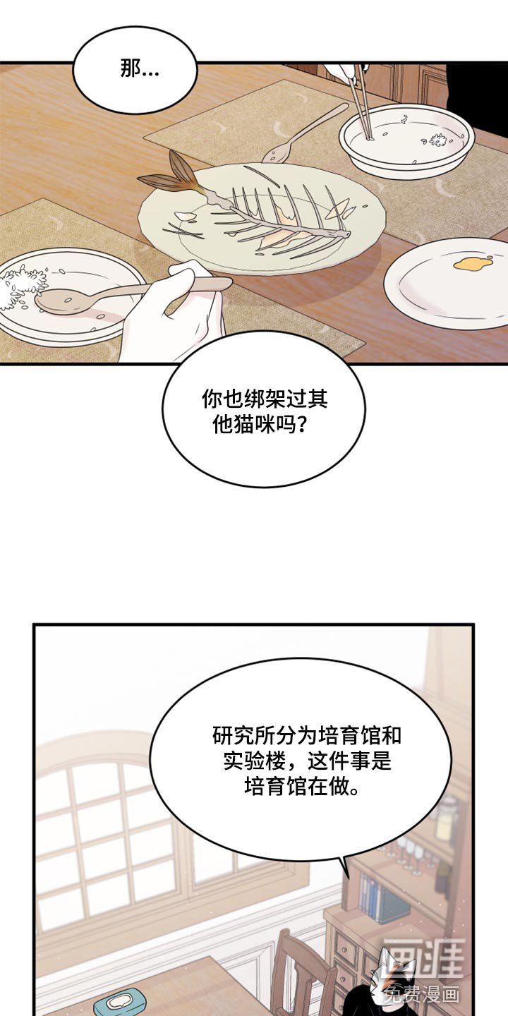 第70章：【第二季】绑架灵猫