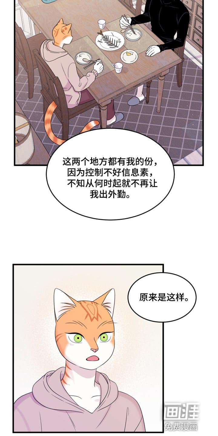第70章：【第二季】绑架灵猫
